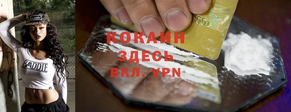 тгк Абаза