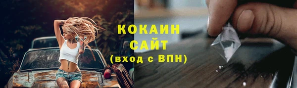 тгк Абаза