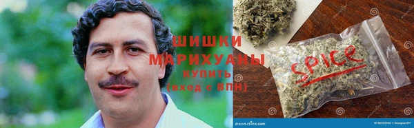 тгк Абаза