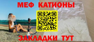 гашик Кингисепп