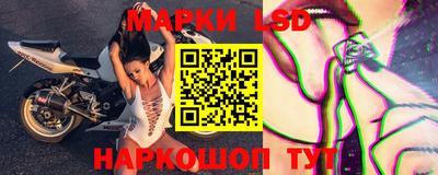гашик Кингисепп