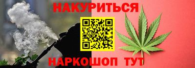гашик Кингисепп