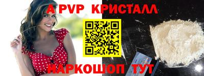 гашик Кингисепп