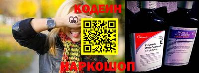 гашик Кингисепп