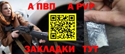 гашик Кингисепп