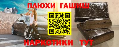 гашик Кингисепп